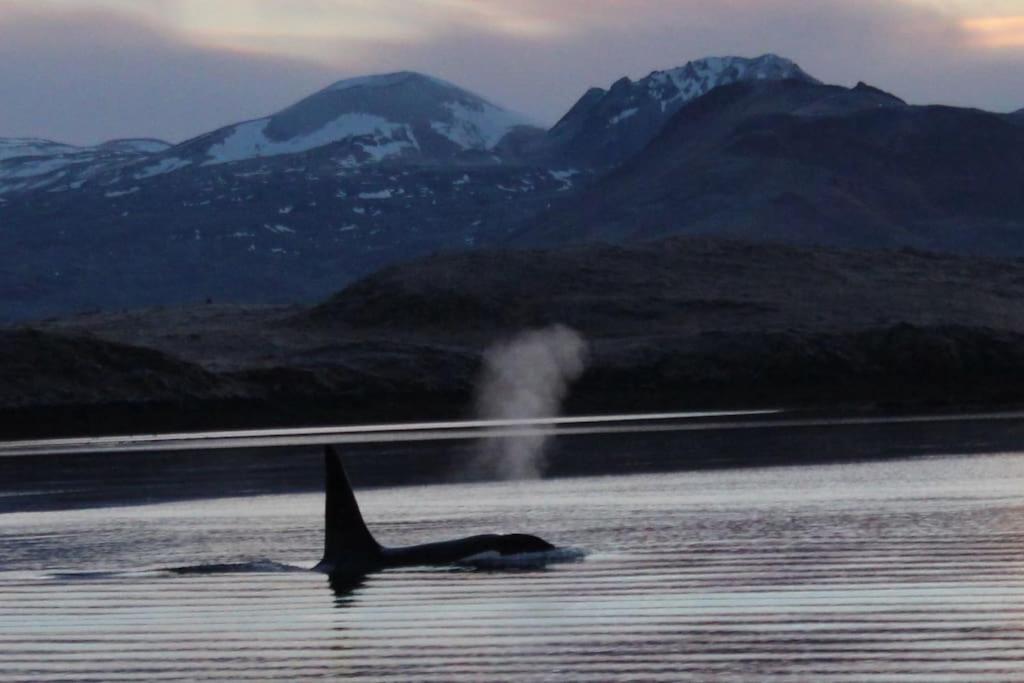 Tanginn Stykkishólmur Buitenkant foto